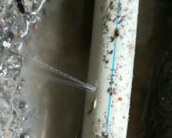 方城卫生间测漏水多少钱
