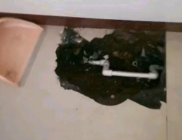 方城卫生间测漏水多少钱